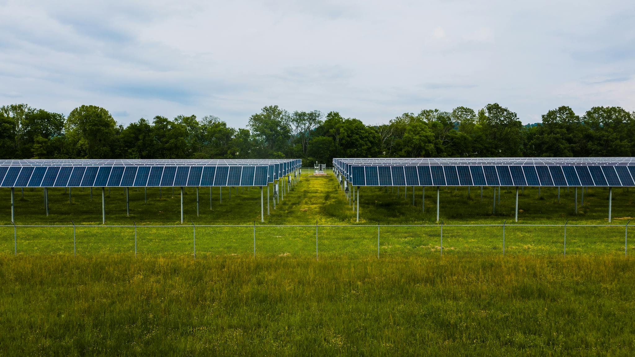 Aerial view of solar panels in a grassy field with trees in the background.